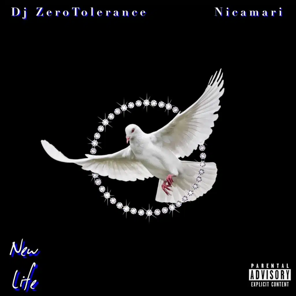 Old Me (feat. Arab & DJ ZeroTolerance)