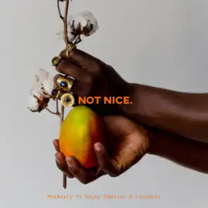 Not Nice (feat. Kojey Radical & Laudable)