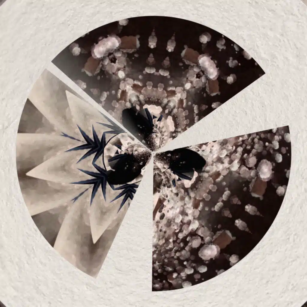 Fragmentos Del Peligro