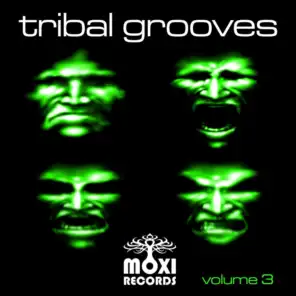 Tribal Grooves, Vol. 3