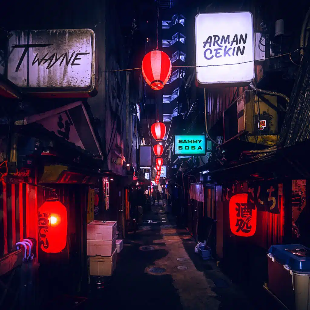 Arman Cekin & T-Wayne