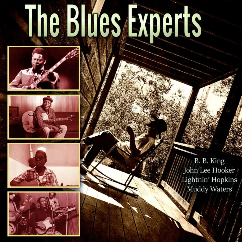 The Blues Experts