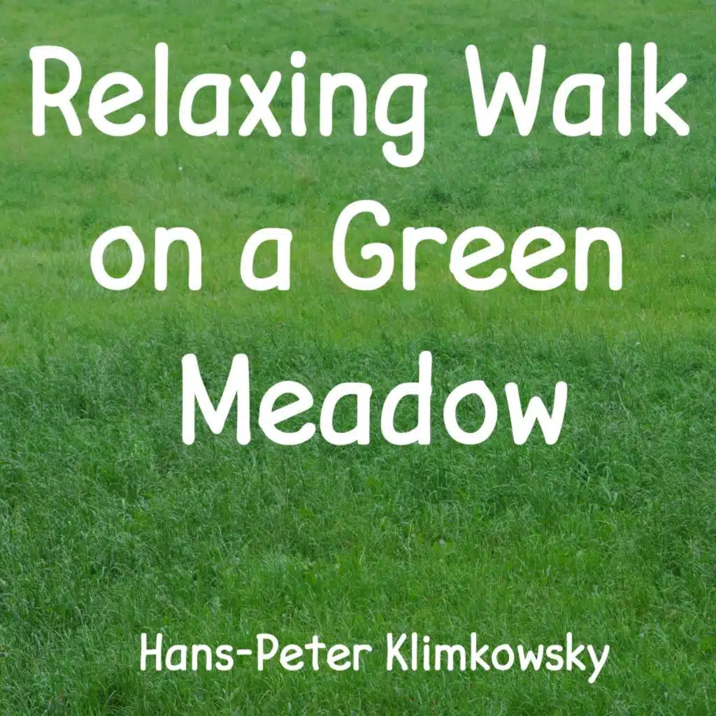 Relaxing Walk on a Green Meadow