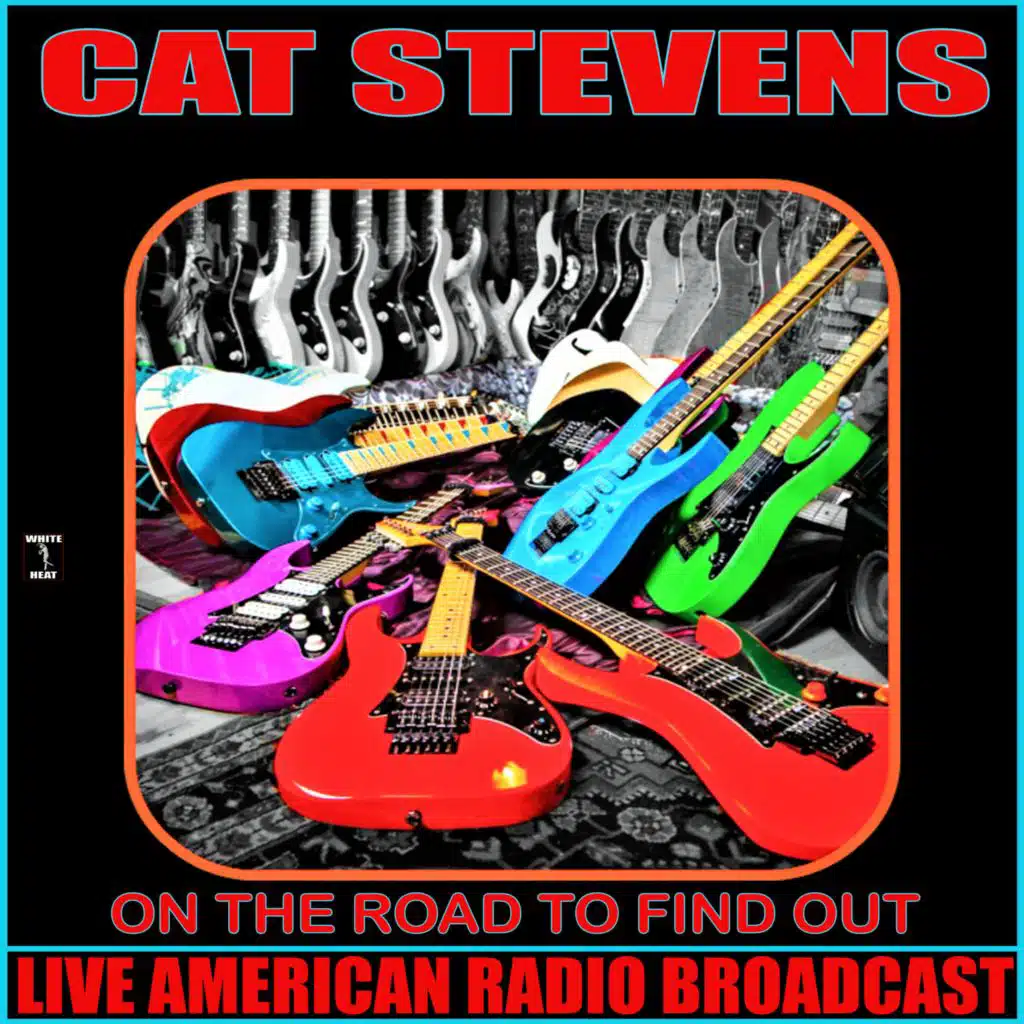 Lady d'Arbanville (Live)