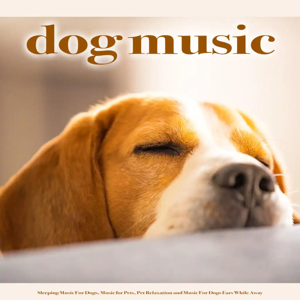 Calming Music For Dogs