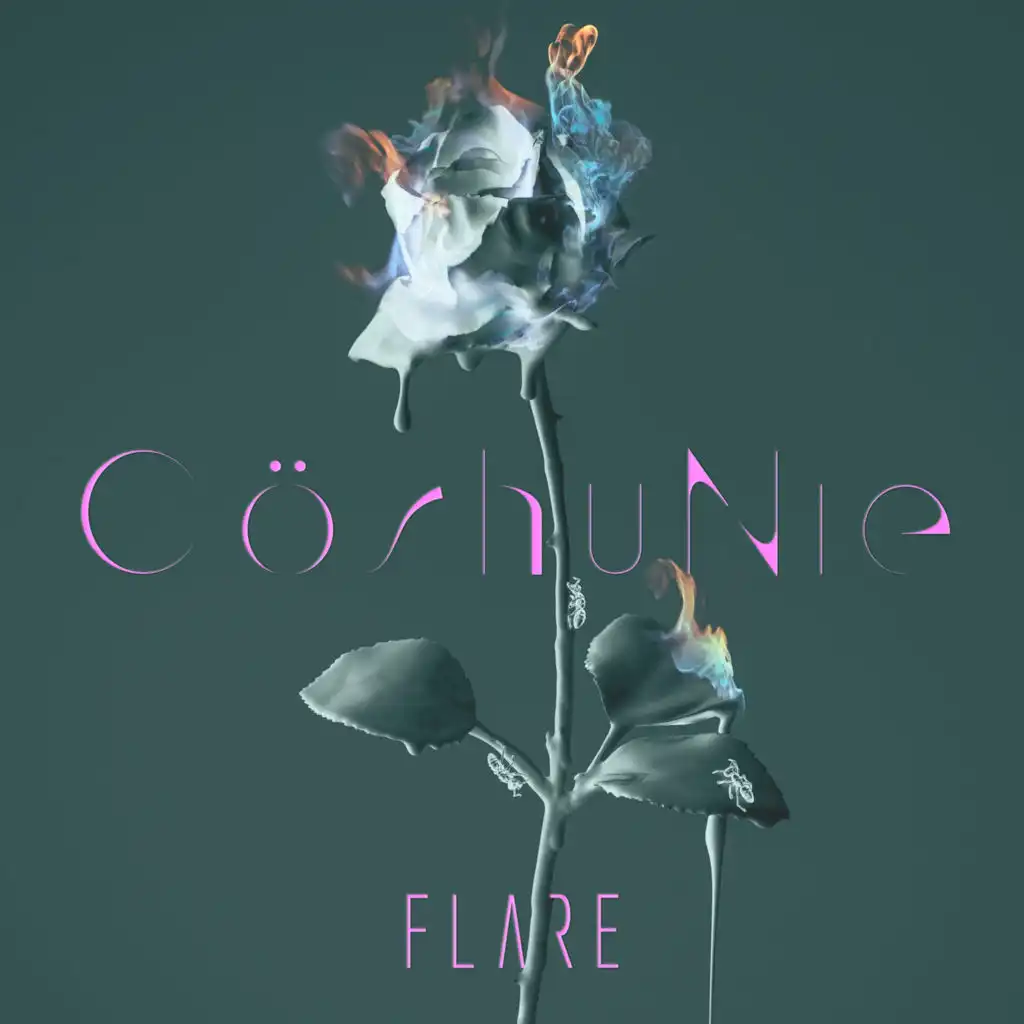 FLARE (English version)