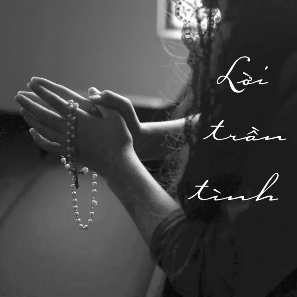 Lời Trần Tình (Sr Hiền Hòa)