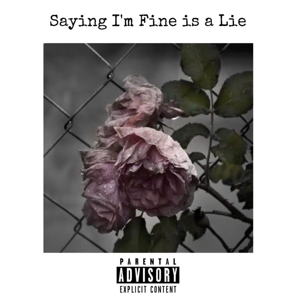 Saying I'm Fine Is A Lie