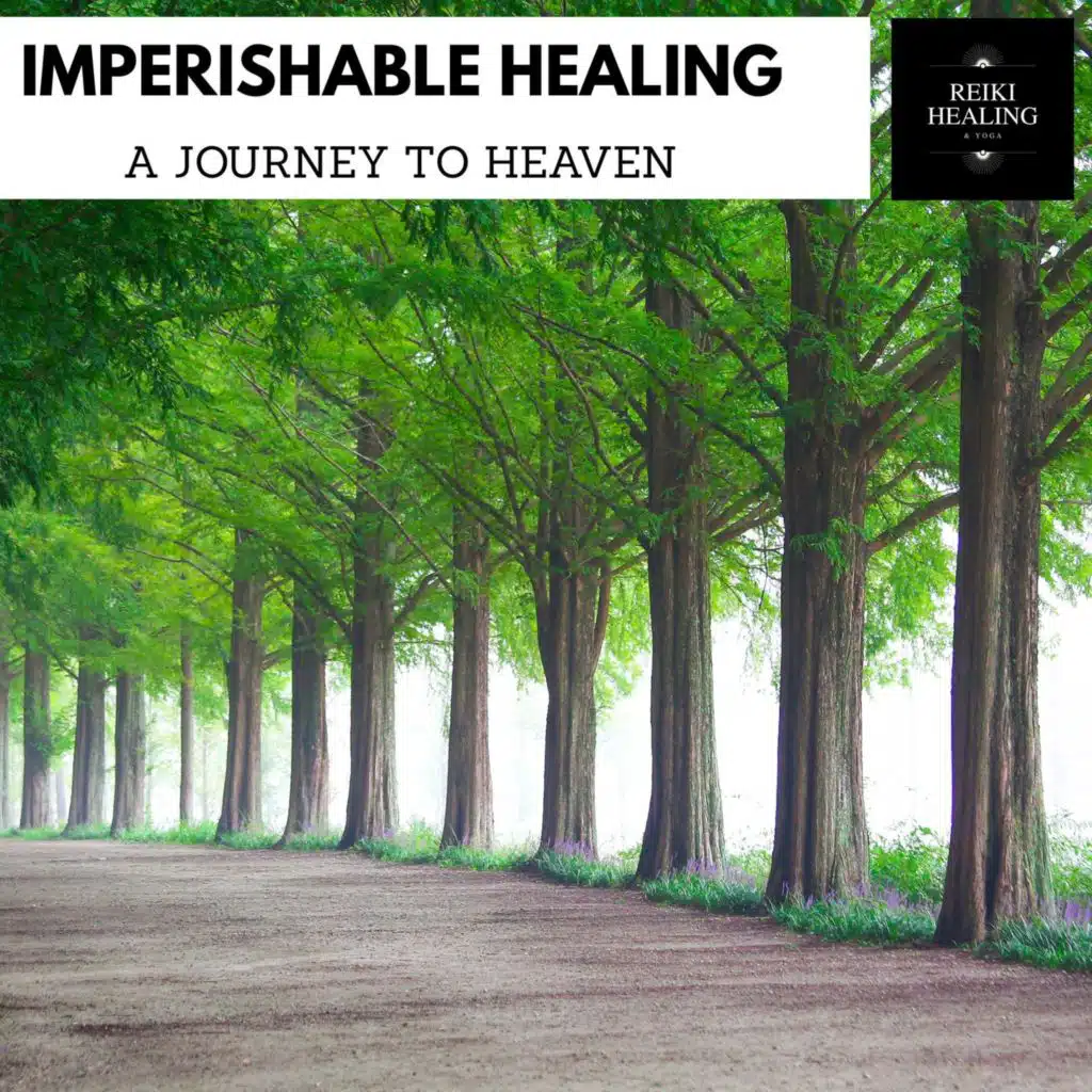 Sanct Devotional Club, Yogsutra Relaxation Co, Srenity Calls