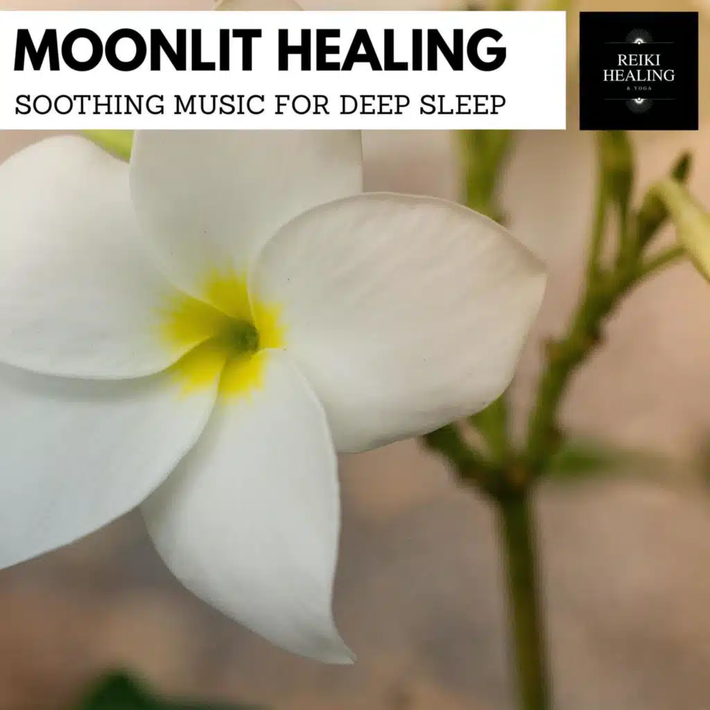 Moonlit Healing - Soothing Music For Deep Sleep