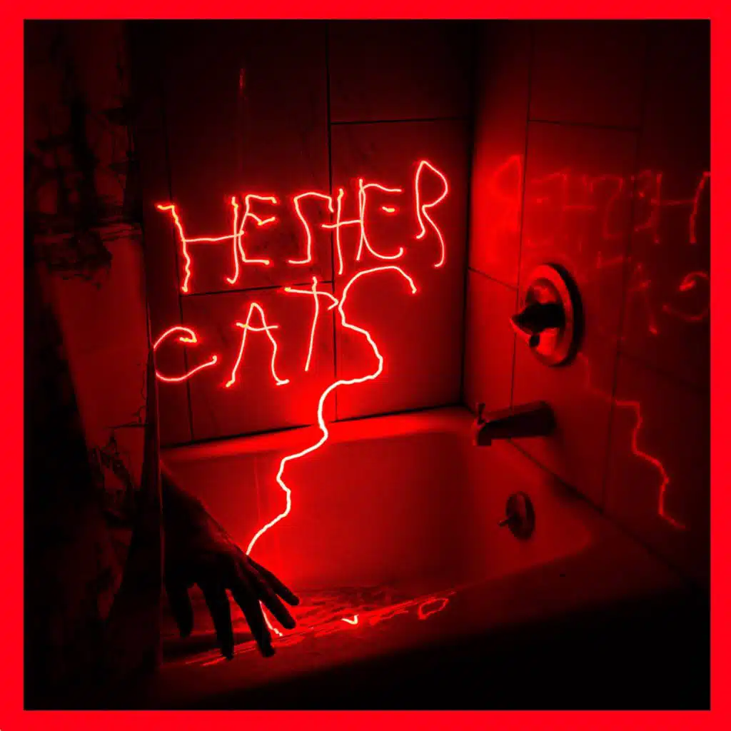 Not the Man// Not the Place