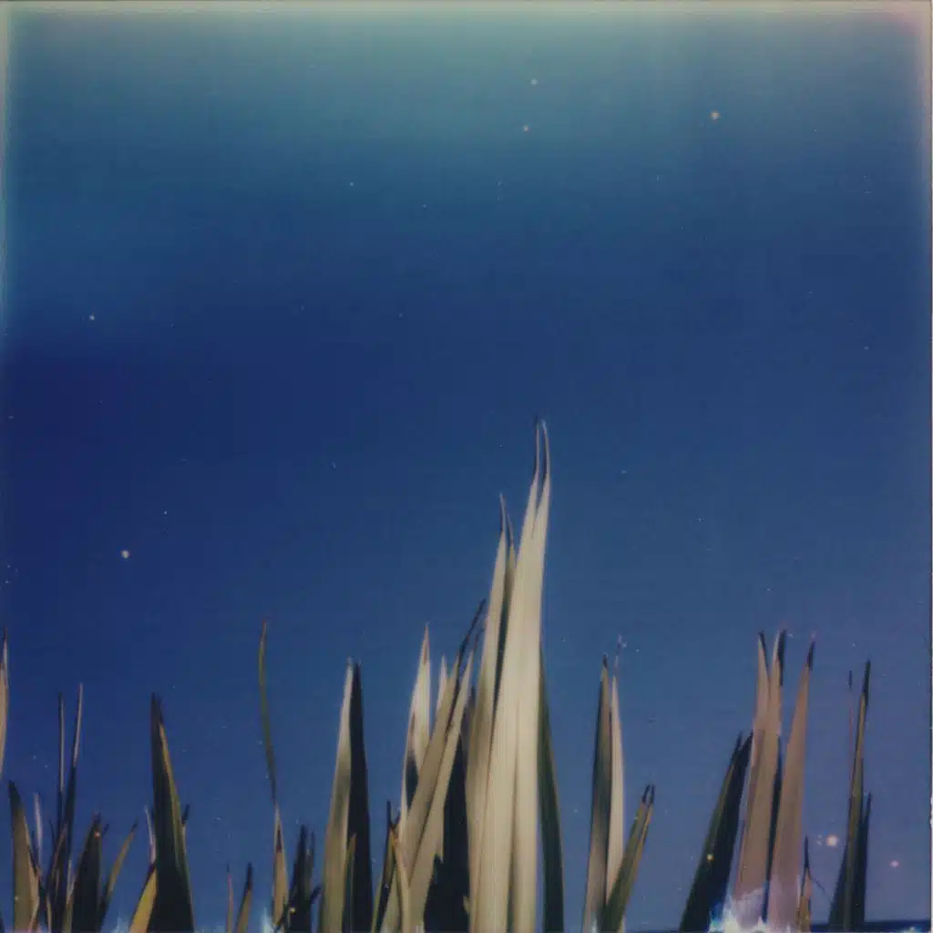 Echoes from a Broken Past