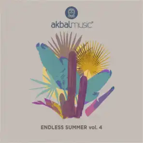 Endless Summer, Vol. 4