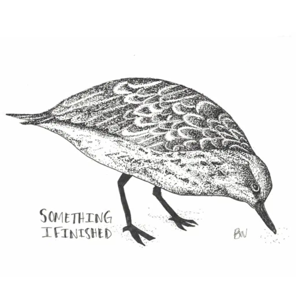 Something I Finished