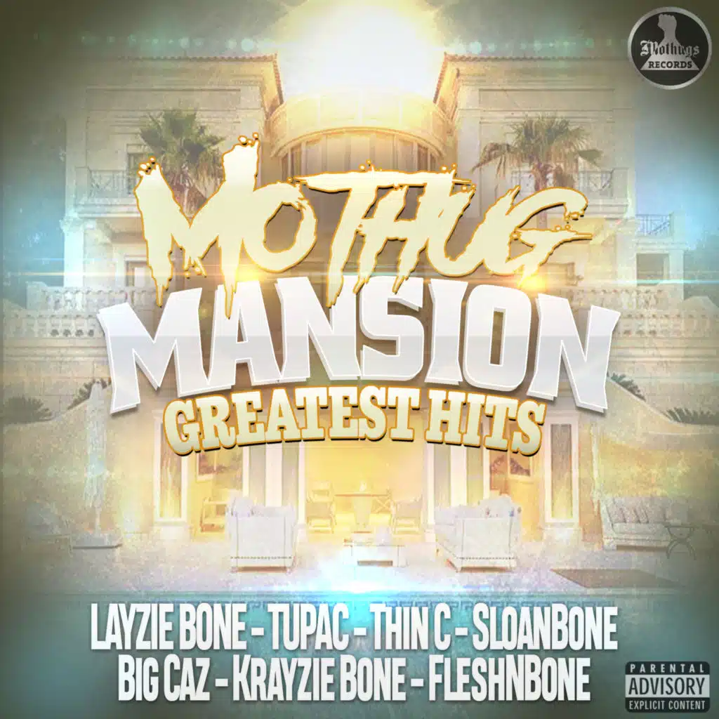 Stop The Music (feat. Tupac & Thin C)