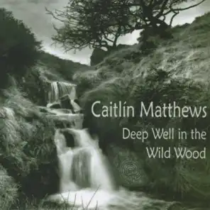 Deep Well in the Wildwood