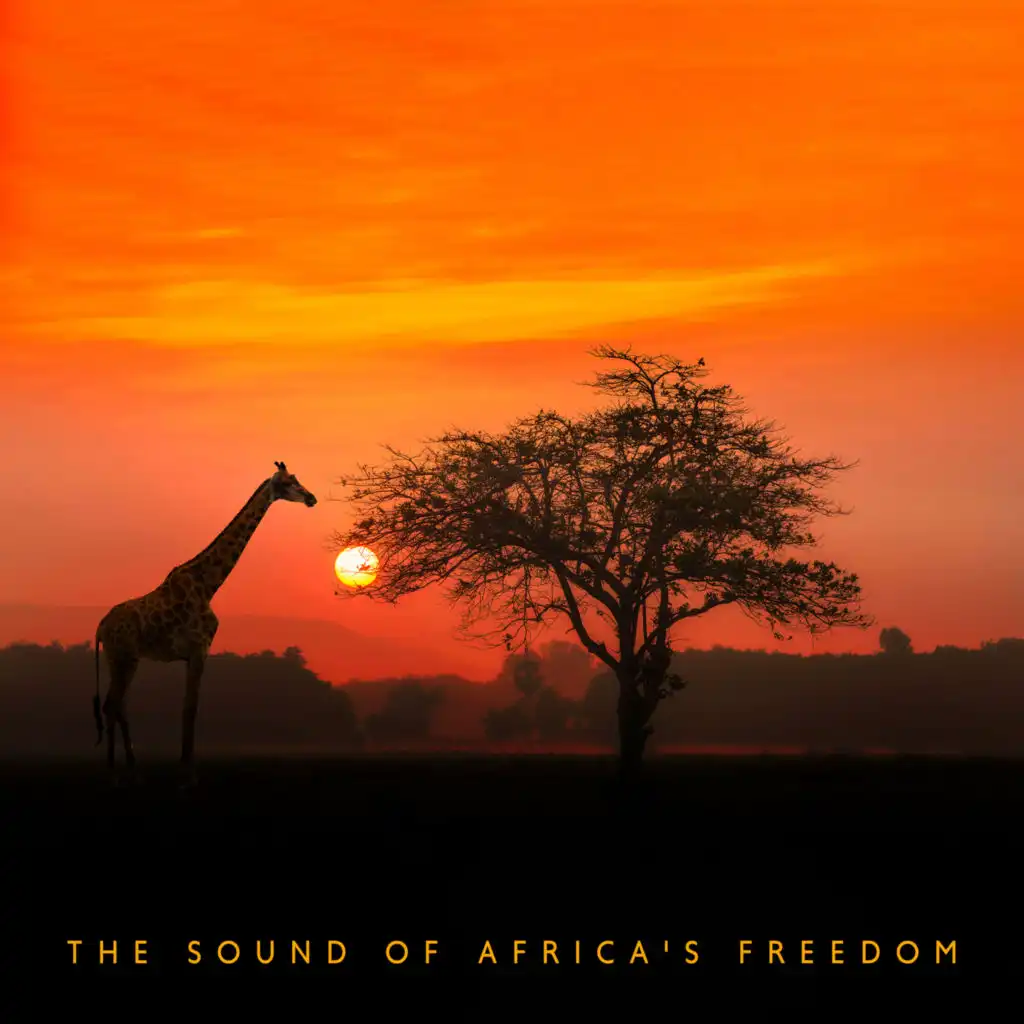 The Sound Of Africa's Freedom