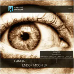 Endor Moon (Martin Gardoqui & Matias Larrosa Remix)