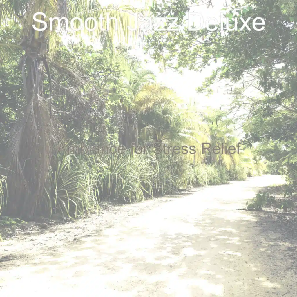 Electric Guitar Solo (Music for Working from Home)