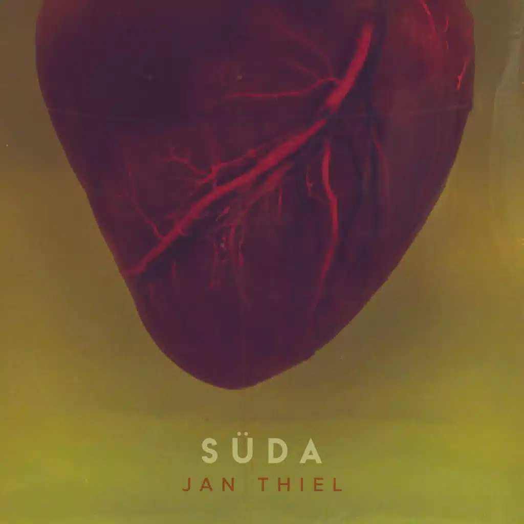 Süda