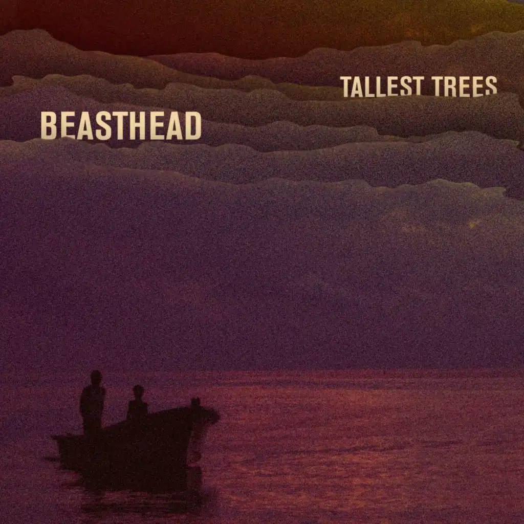 Tallest Trees
