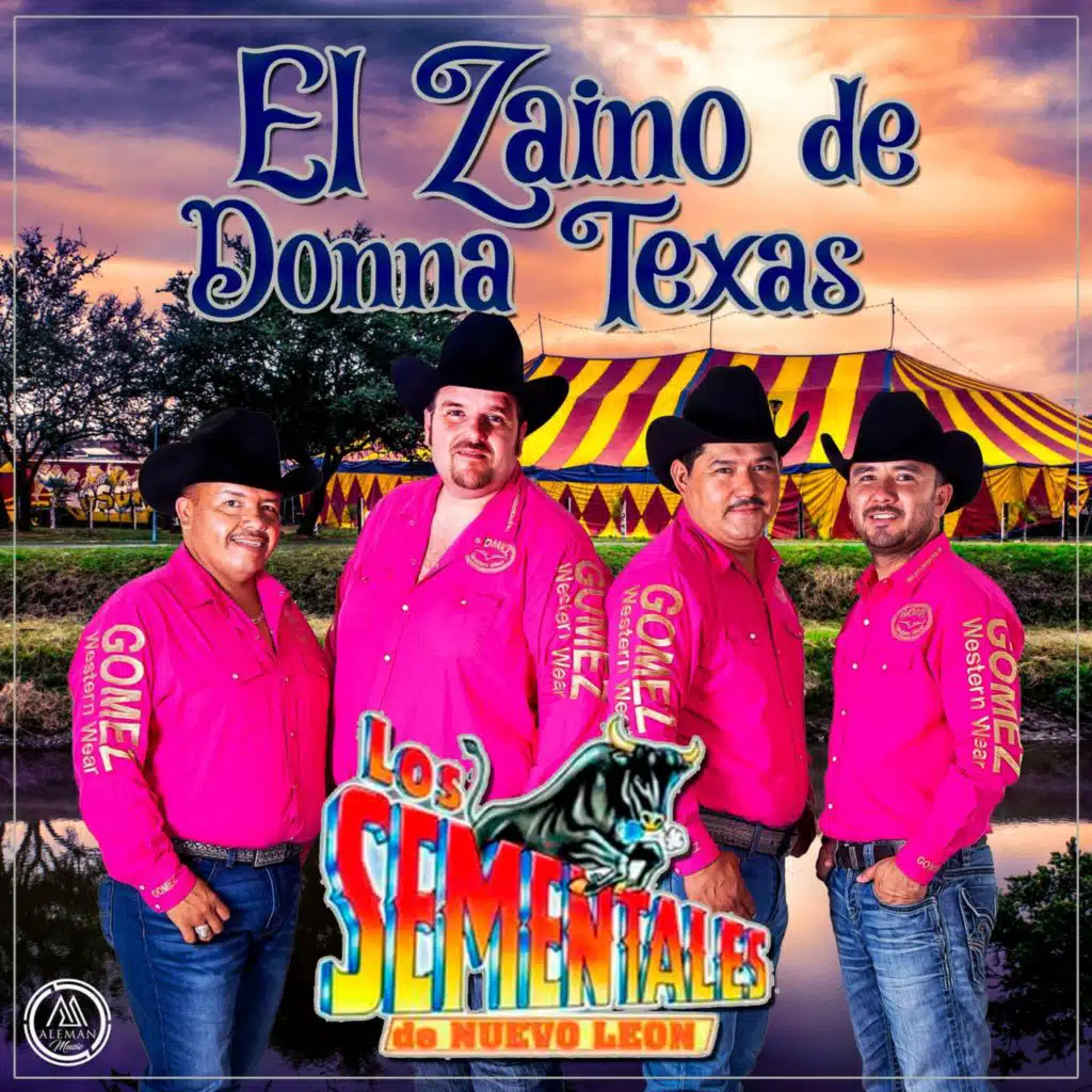 El Zaino de Donna Texas