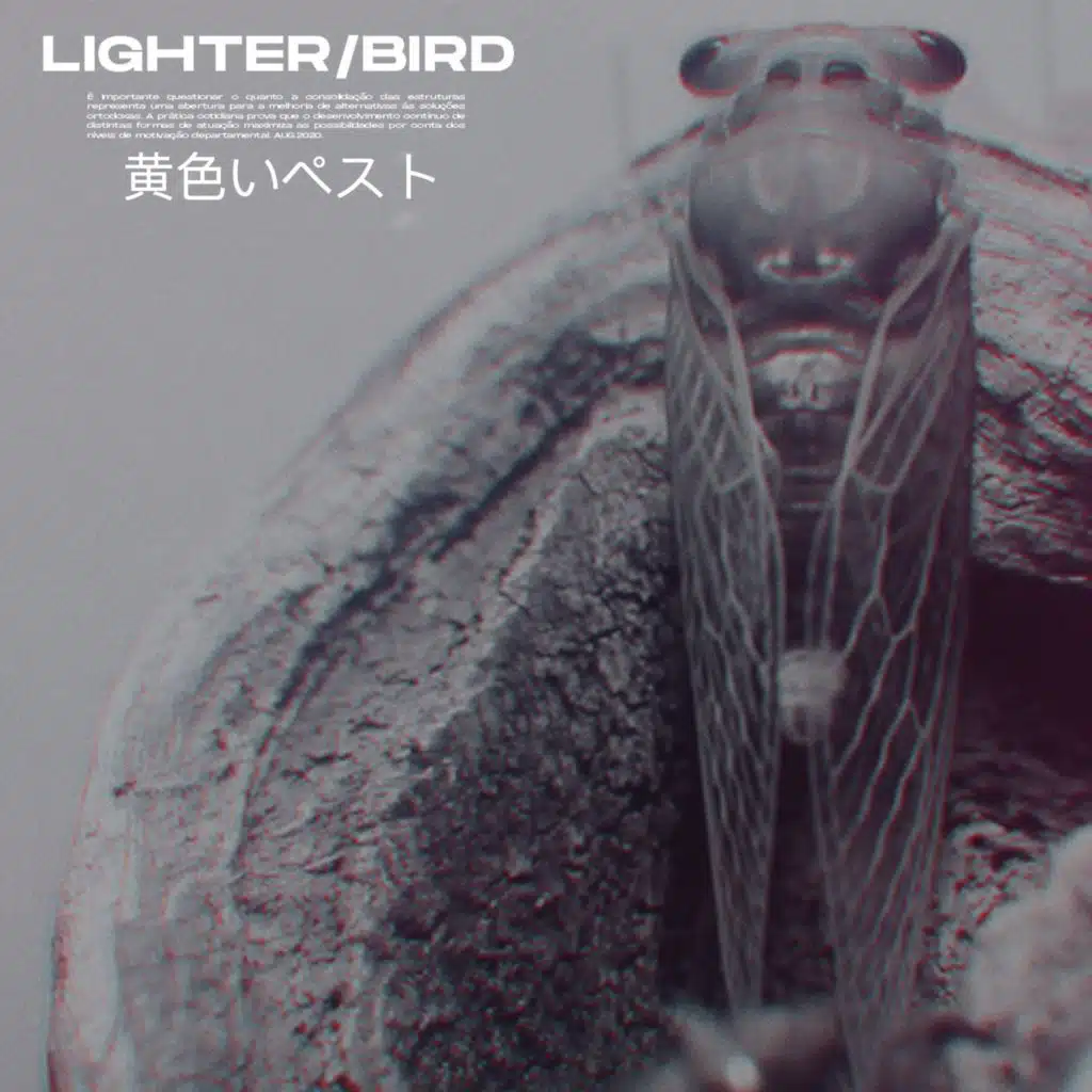 Lighter / Bird