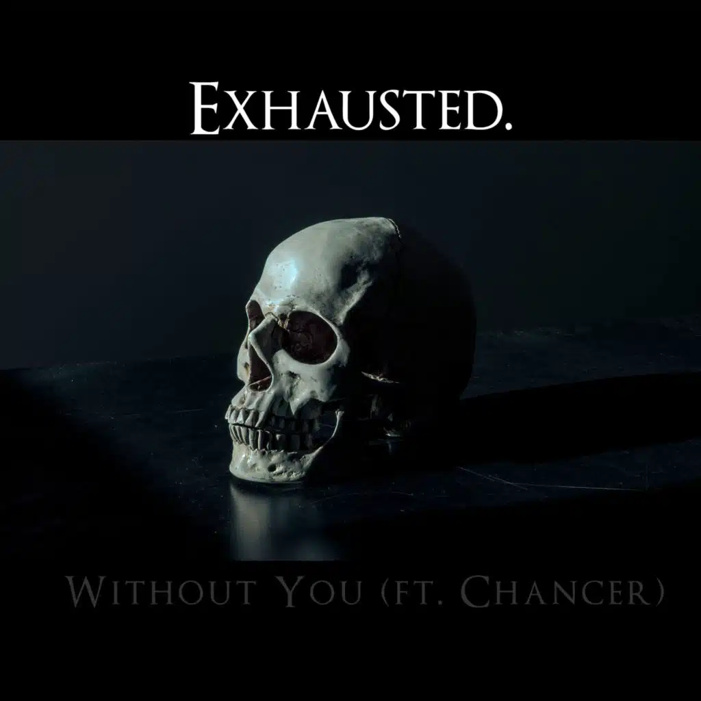 Without You (feat. Chancer)