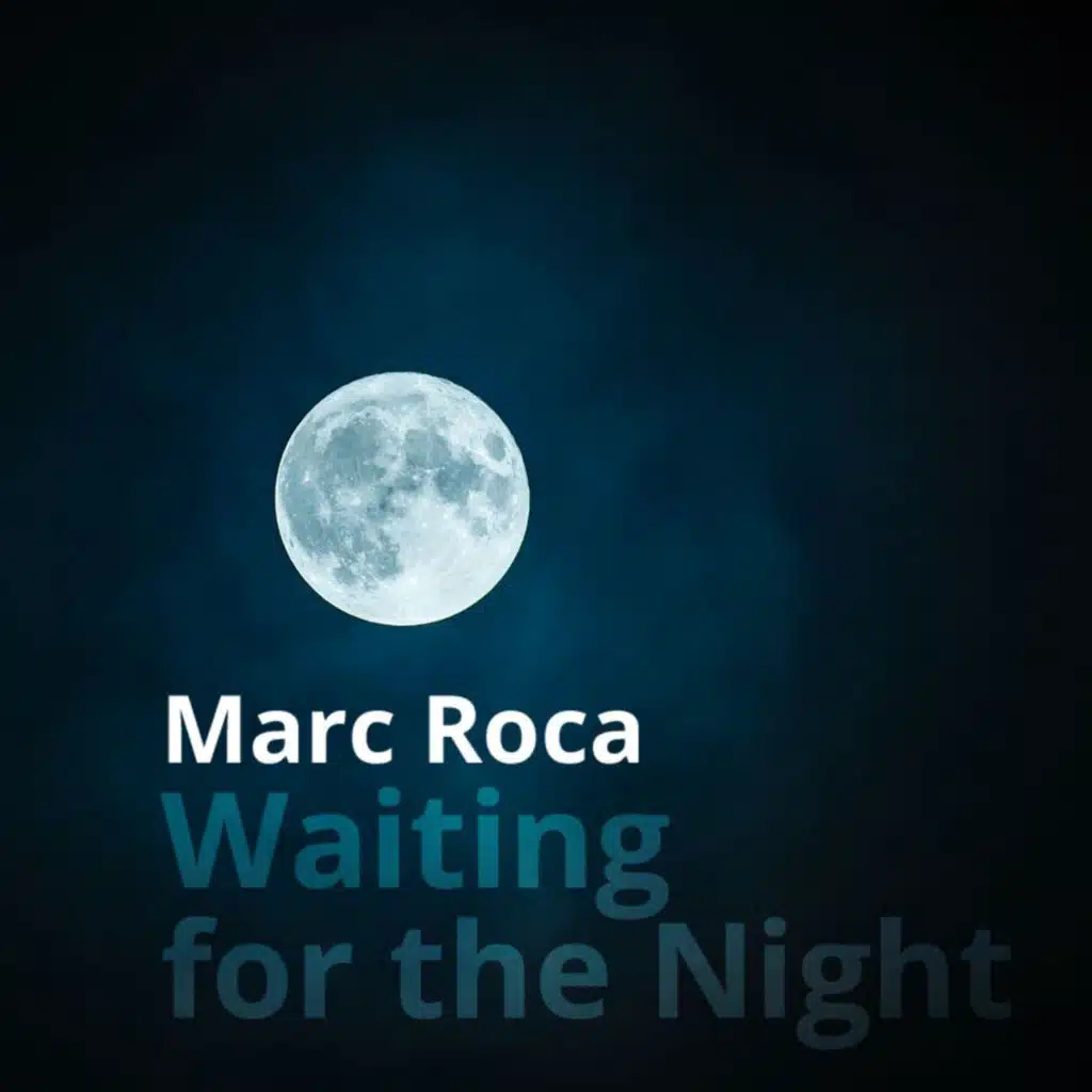 Waiting For The Night