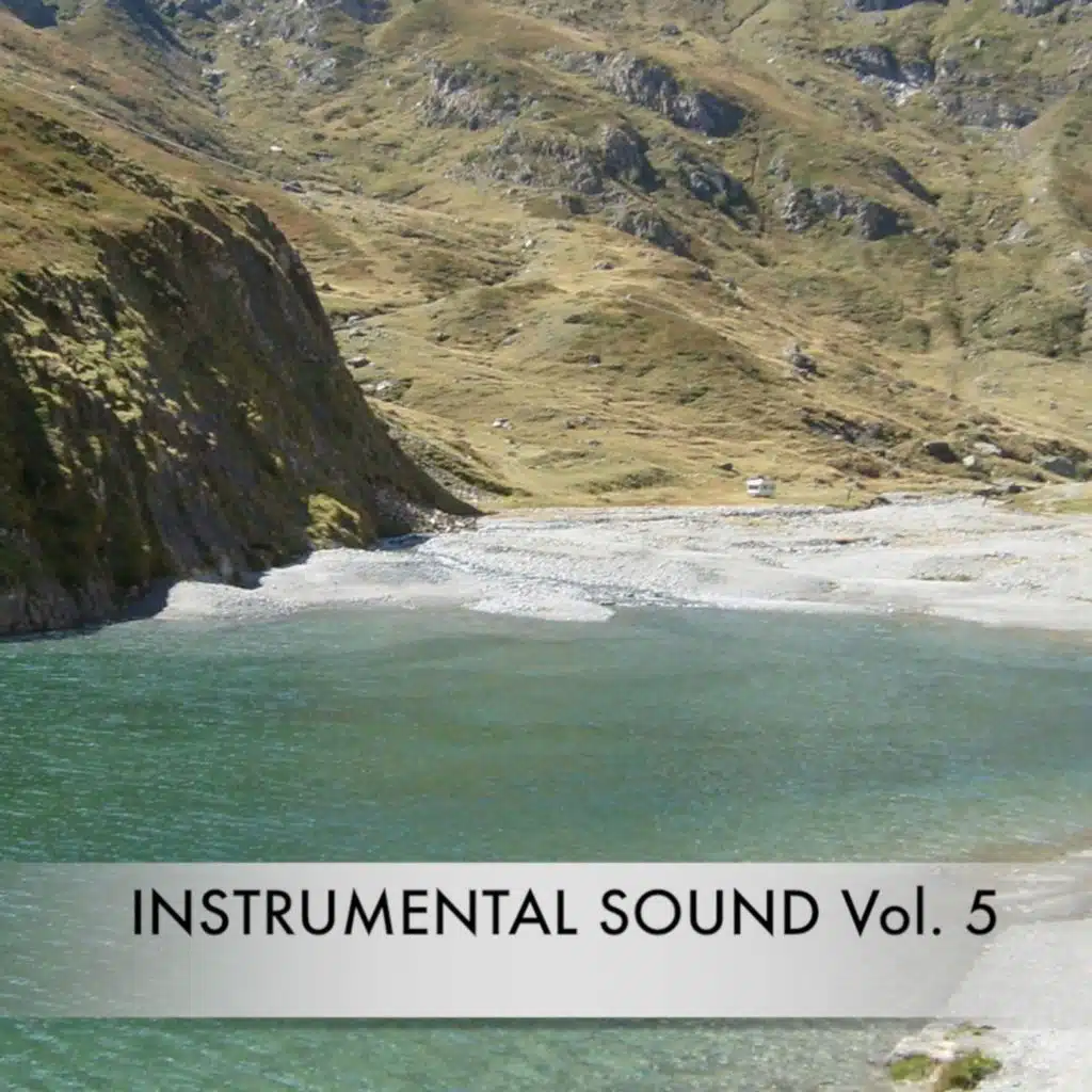 Instrumental Sound Vol. 5