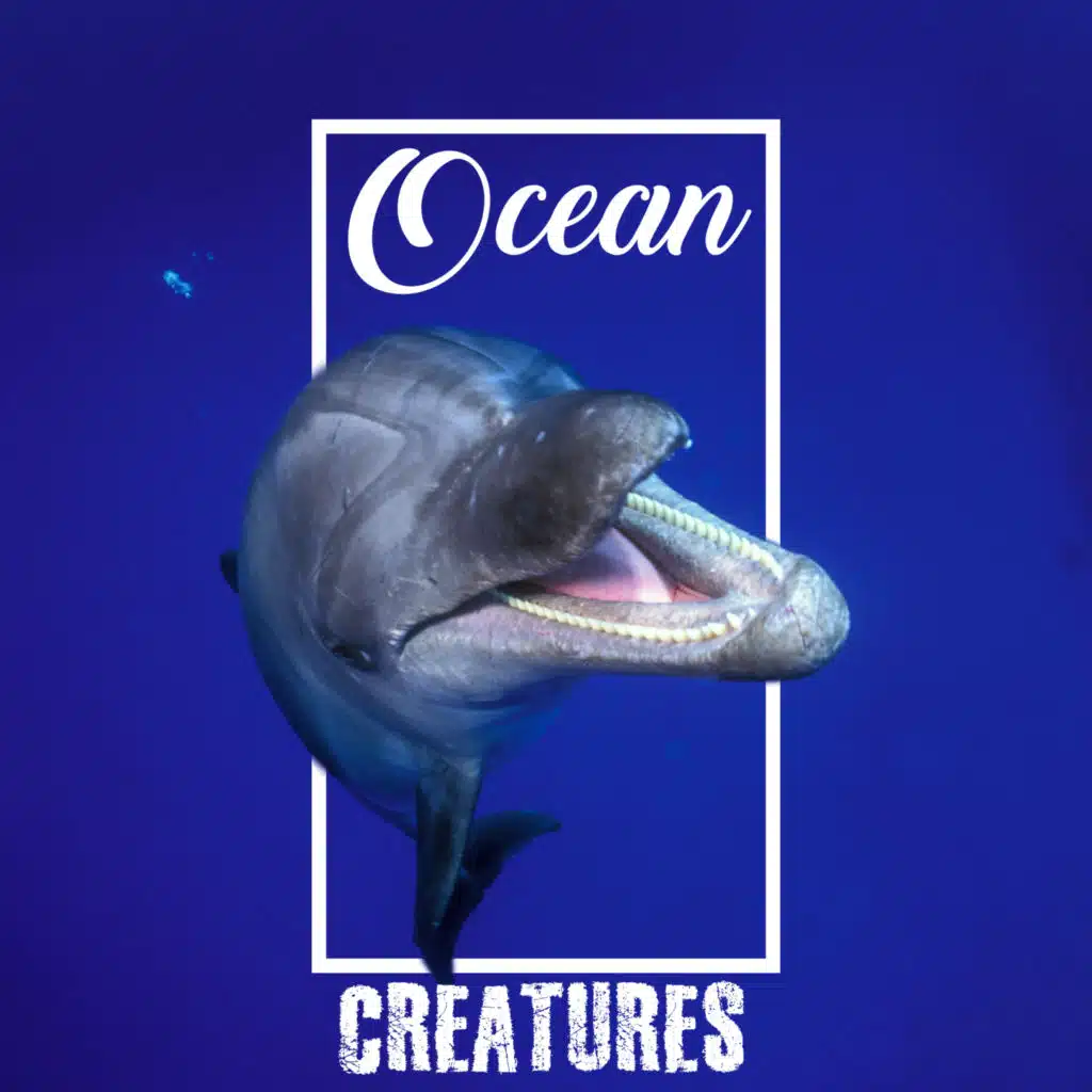 Ocean Creatures - Unique Collection of Sounds from Sea Animals such as Dolphins and Whales, Relaxation Music for Stress Relief, Deep Rest, Ultrasounds, Peace & Harmony
