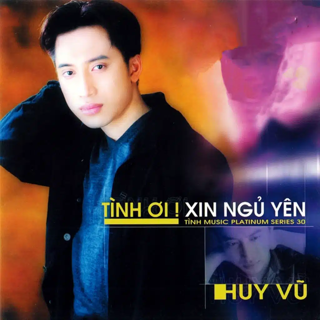 Tình ơi xin ngủ yên - Có quên được đâu (Instrumental)