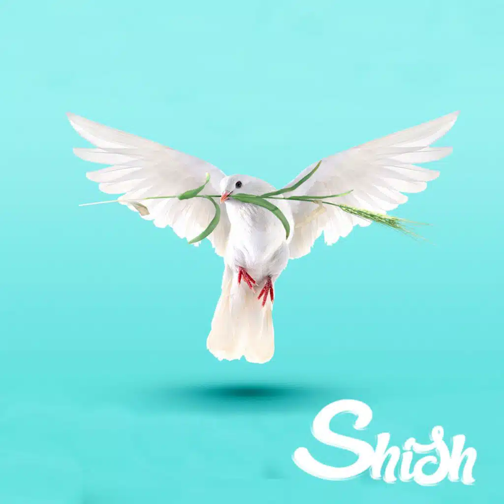 Just Another Distraction (feat. Machzir_or)