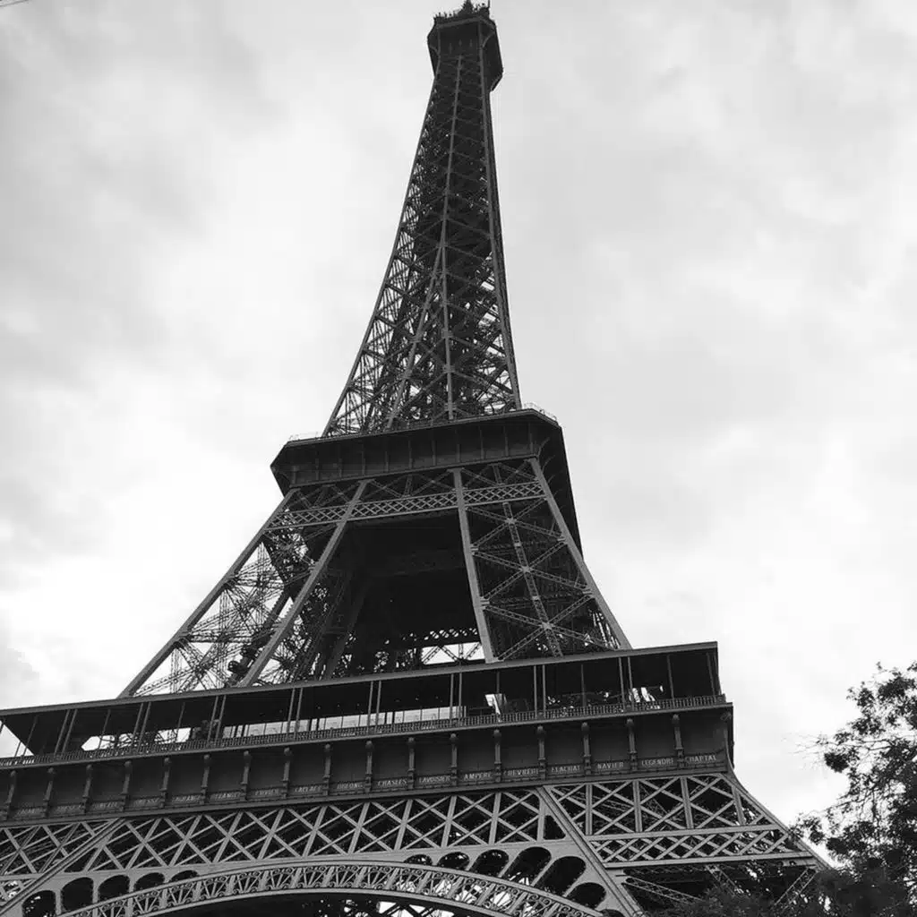 And She Will Miss You