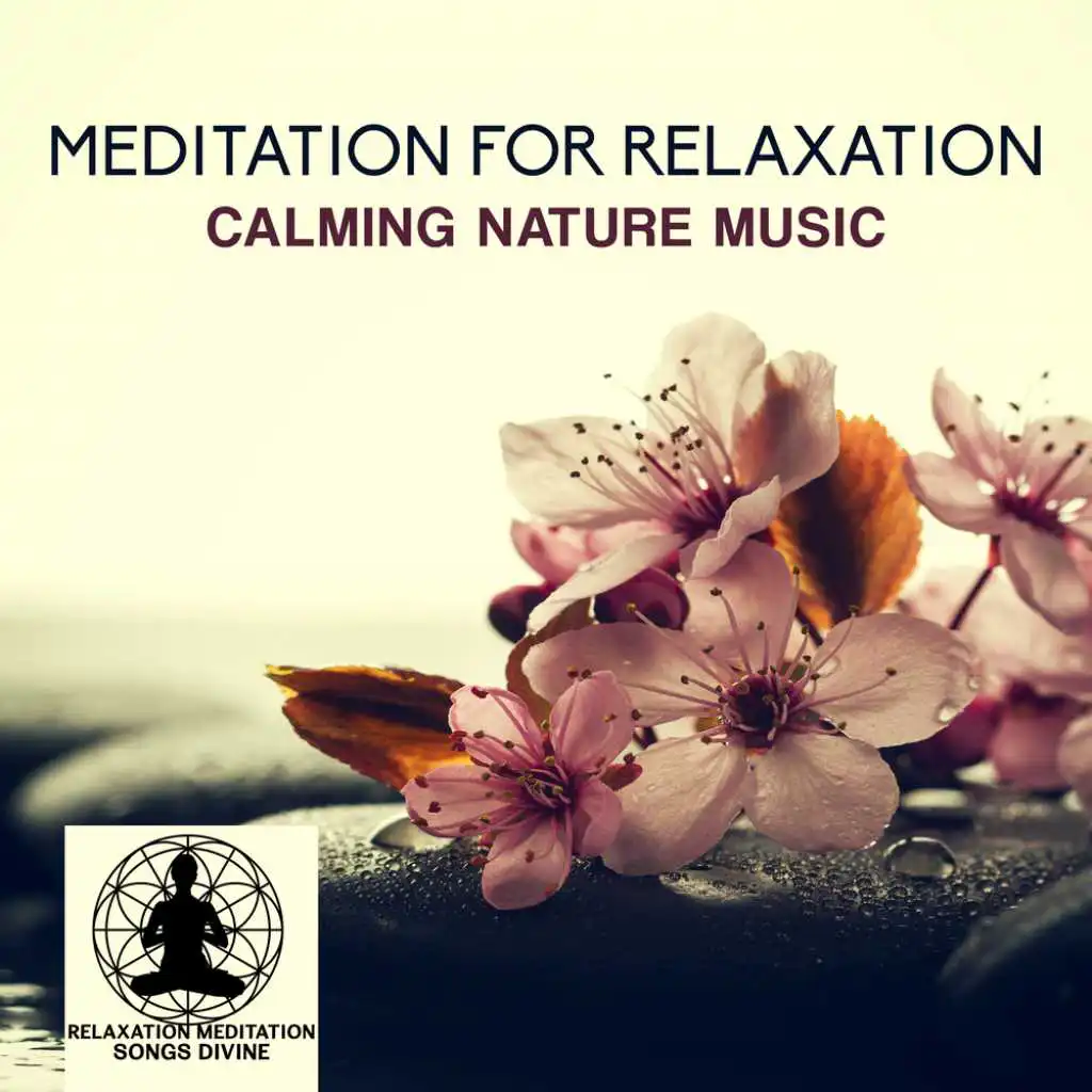 Relaxation Meditation (Clear Mind)