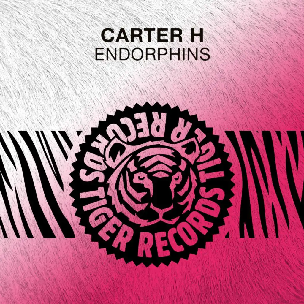 Endorphins (Radio Edit)