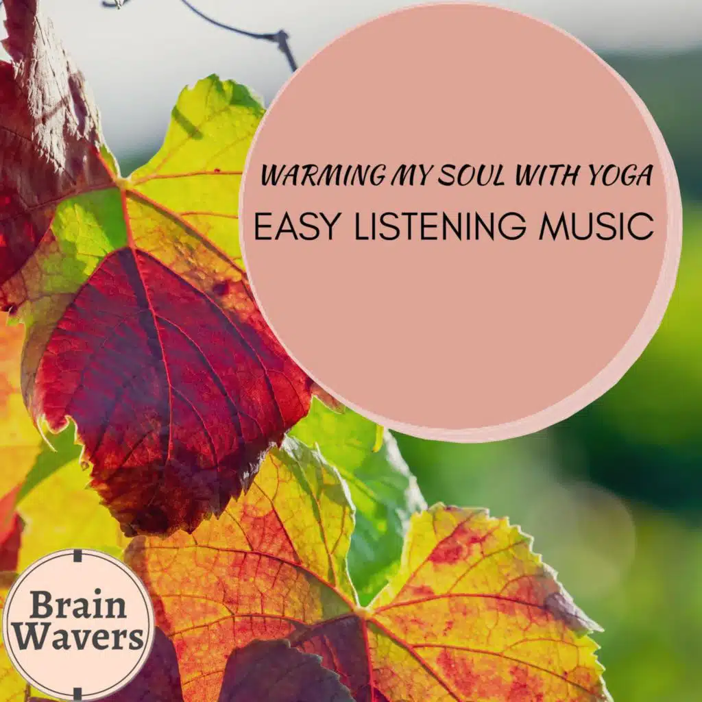 Ambient 11, Pause & Play