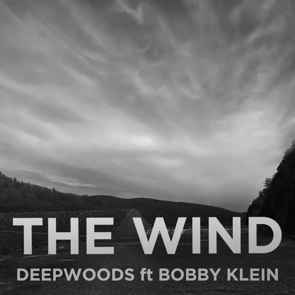 THE WIND (feat. Bobby Klein)