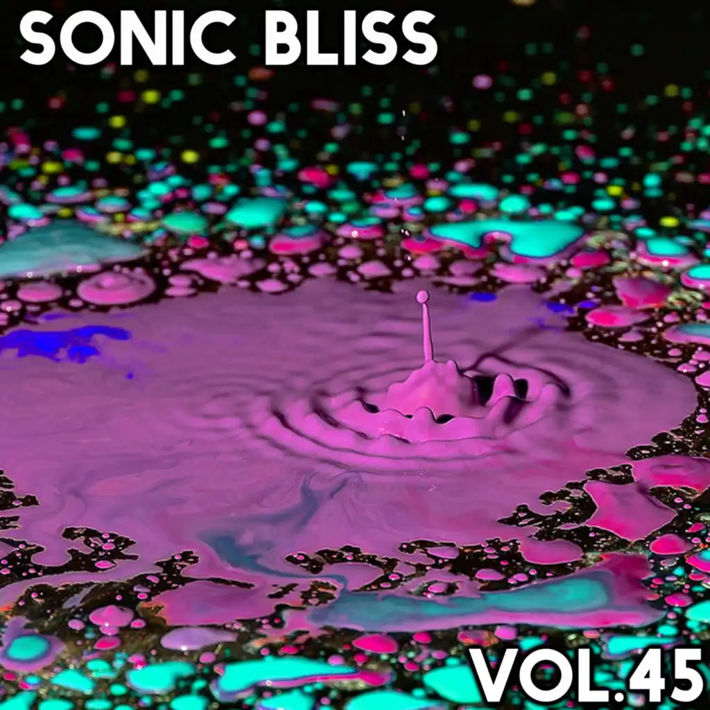 Sonic Bliss, Vol. 45