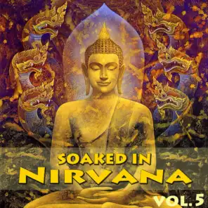 Soaked In Nirvana, Vol.5