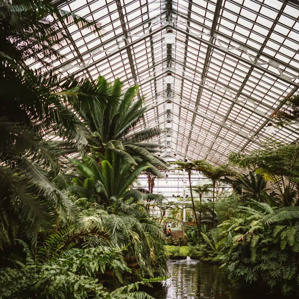 Spa Music Relaxation, Alpha Brain Waves and Sleep Sound Library