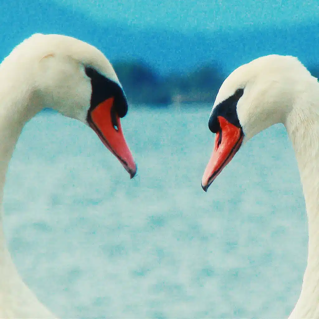 Isles of the Blessed