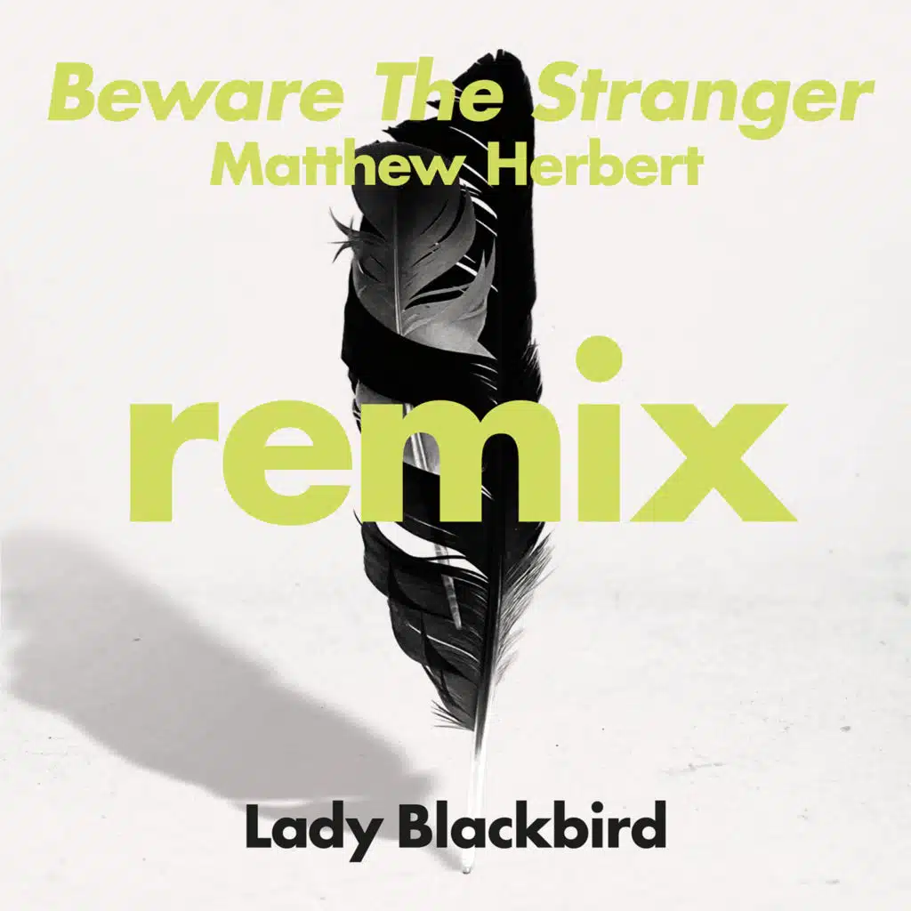 Beware The Stranger (Matthew Herbert's Wanted Remix)