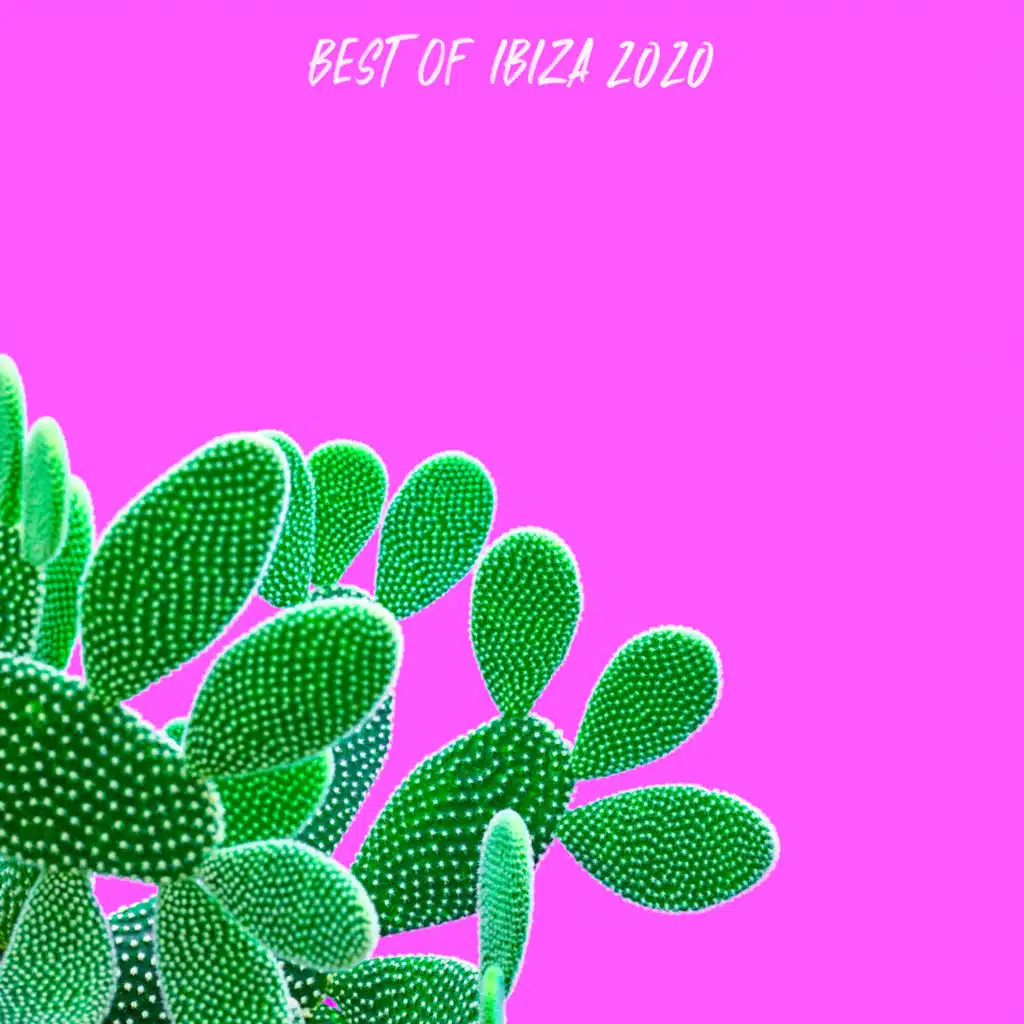 Best of Ibiza 2020