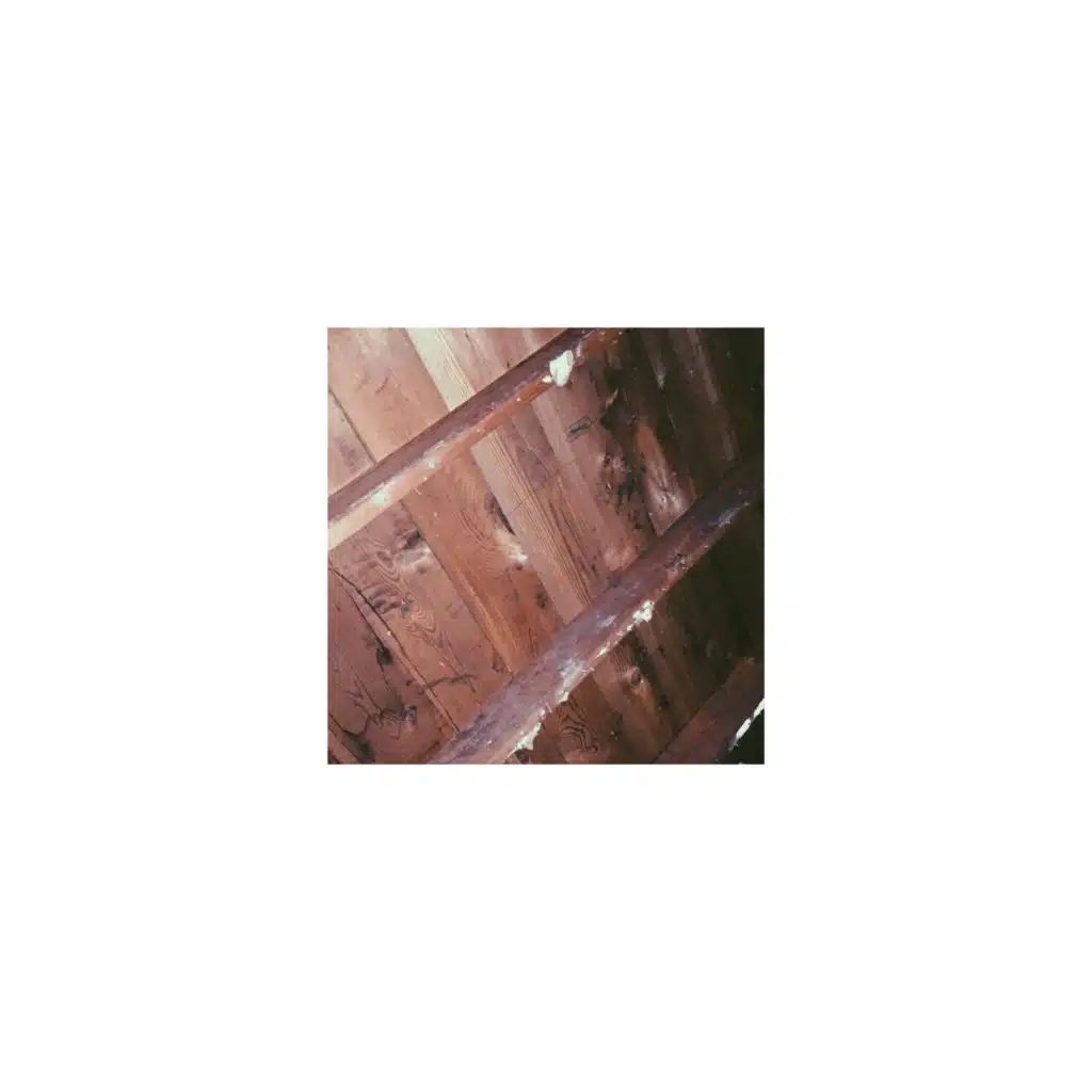 Start Over / Fuck