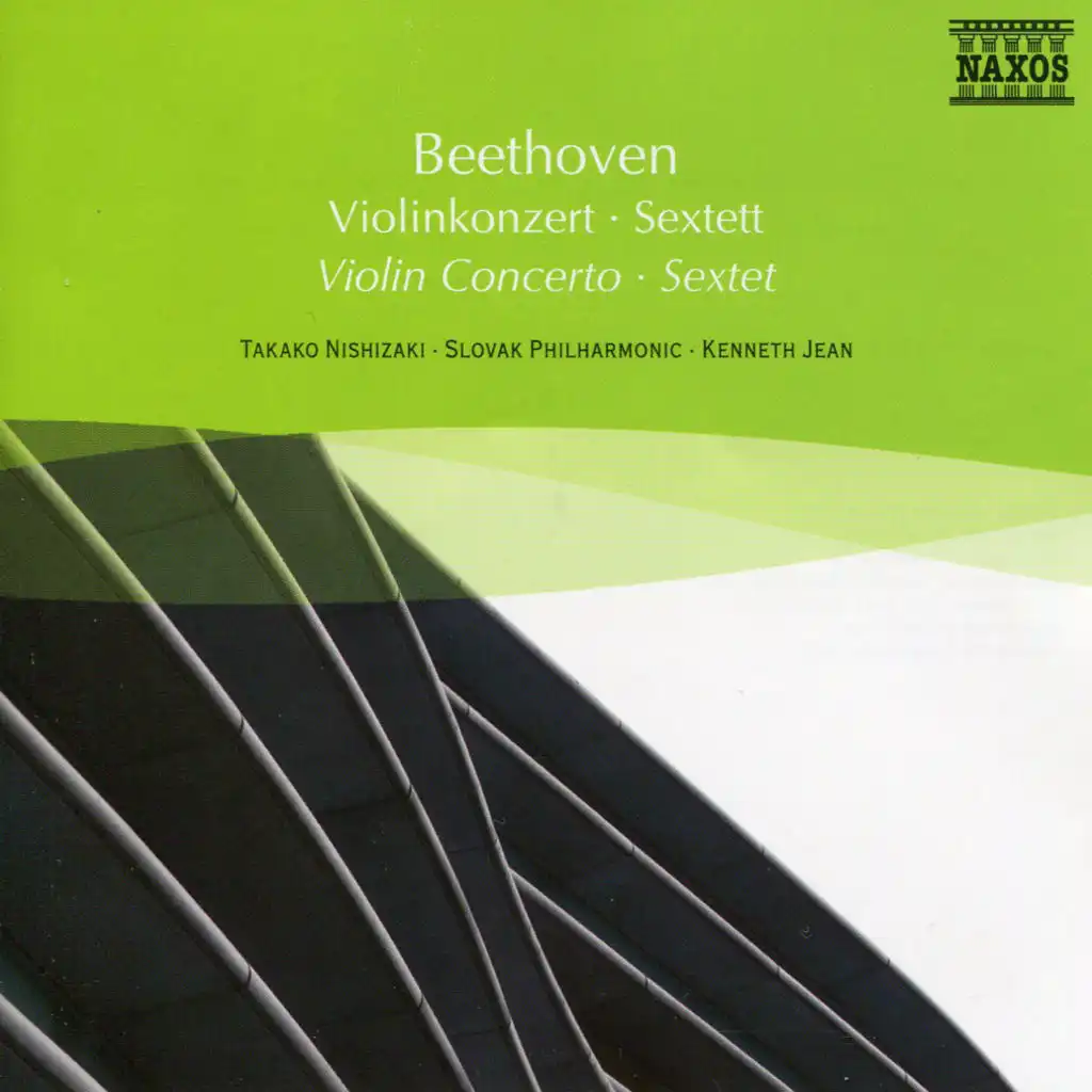 Violin Concerto in D Major, Op. 61: I. Allegro ma non troppo