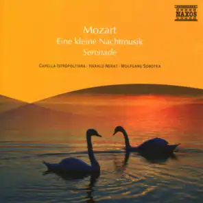 Serenade No. 6 in D Major, K. 239 "Serenata notturna": II. Menuetto - Trio