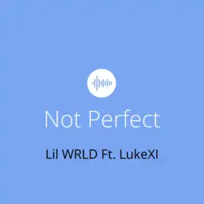 Not Perfect (feat. LukeXI )