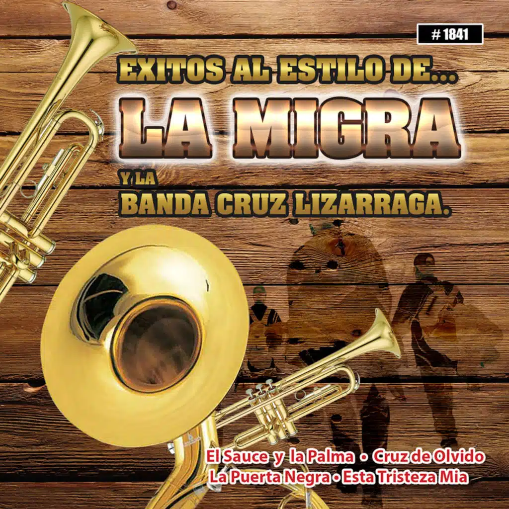 Exitos Al Estilo De… La Migra Y La Banda Cruz Lizarraga