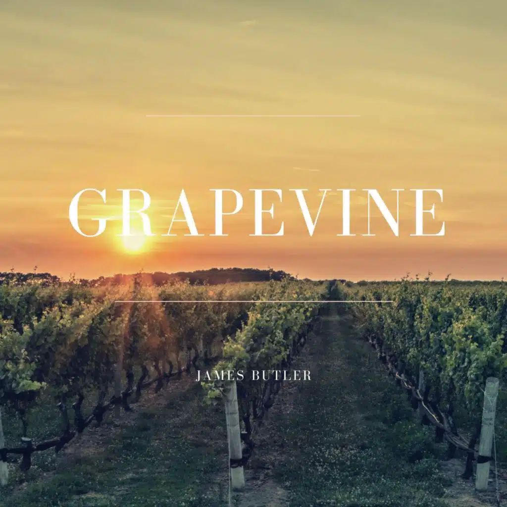 Grapevine